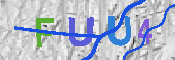 キャプチャ画像